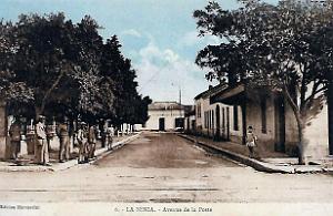La Senia - Avenue de la Poste